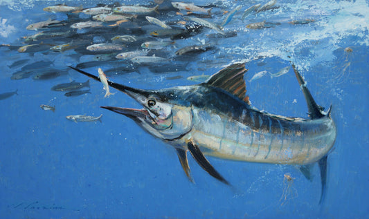 Blue Marlin & Mullet